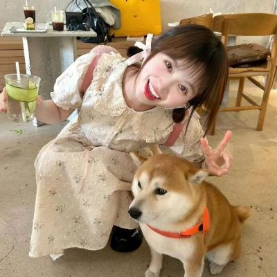 五女闹京城